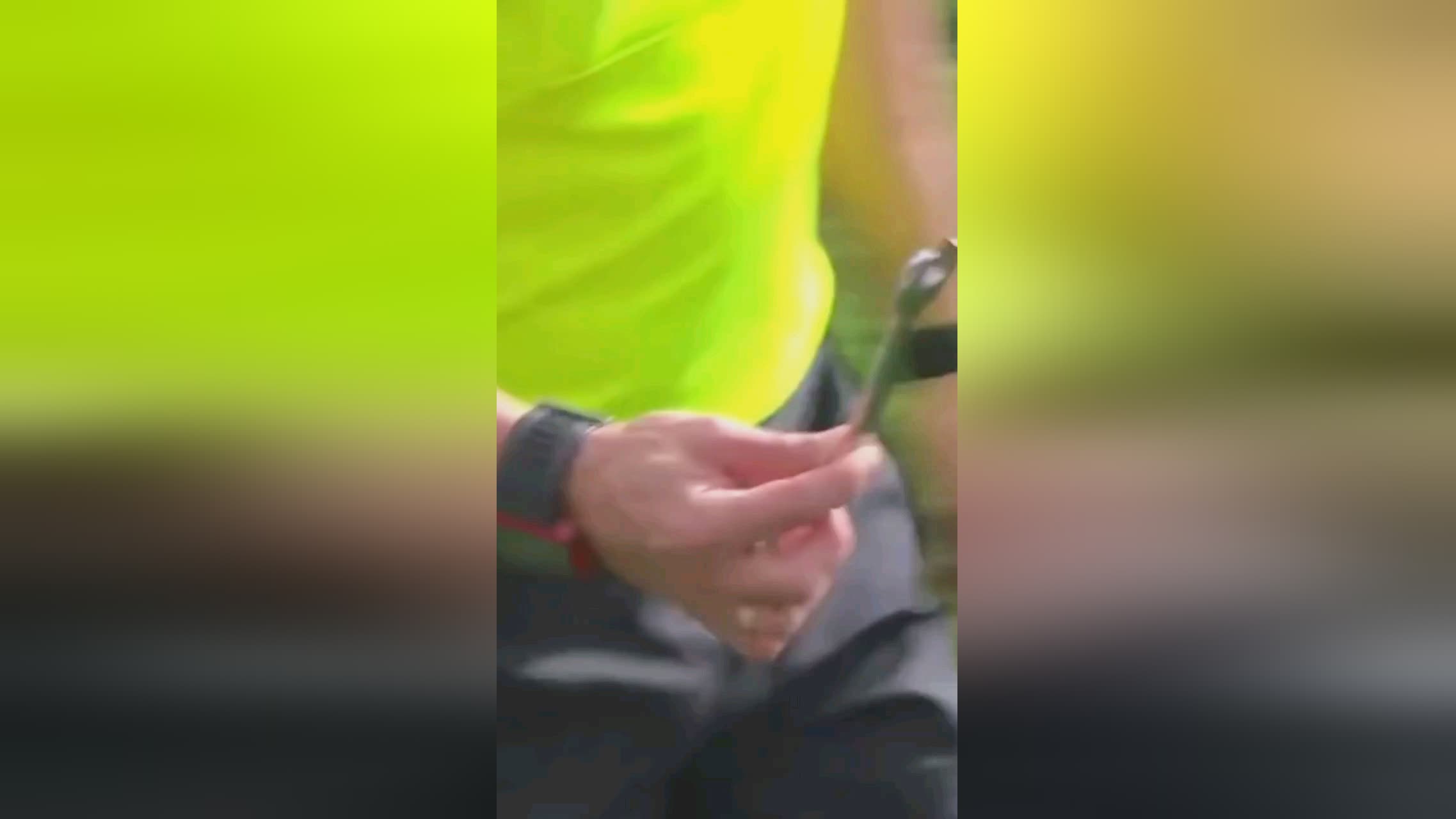 复计划为